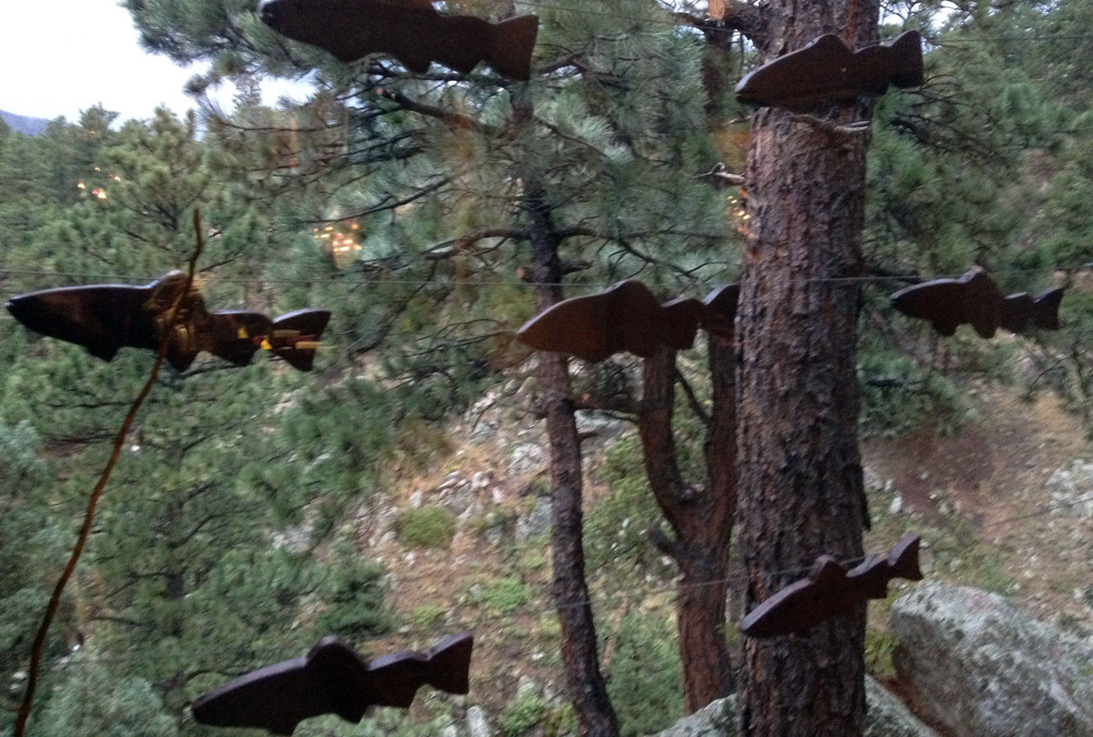 Mountain School of Fish