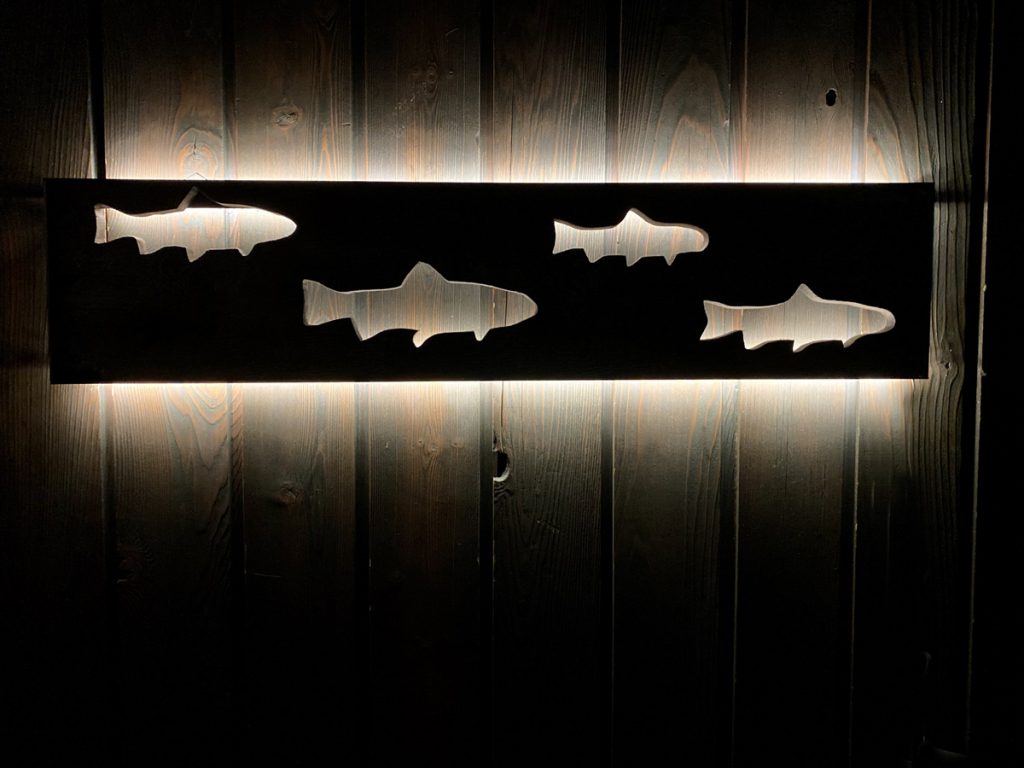 Dark Canyon Line Up - fish glowing at night