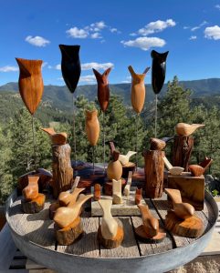 Owls and comfort birds donation sponsors for The Tour de Victory for the Davis Phinney Foundation ride in Boulder, CO with Denny DiPaula riding